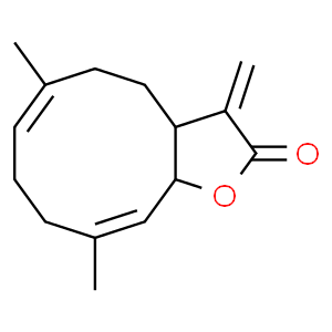 木香烴內(nèi)酯